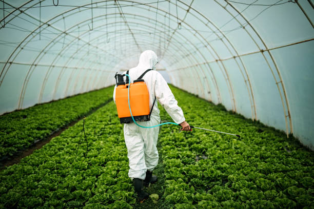 Reliable Ucon, ID Pest Control Solutions